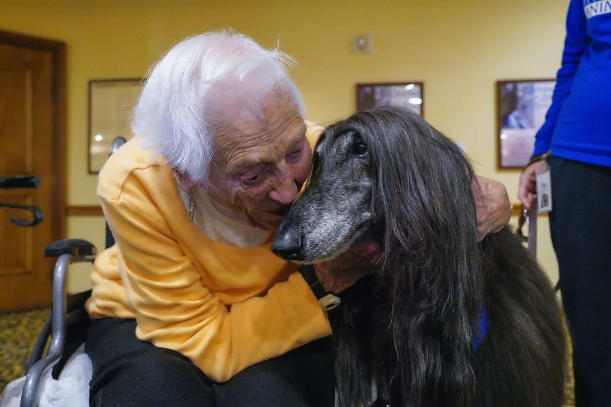 Rejane Mason, 97, a resident at GlenBrook Health Center in Carlsbad, meets Solo, an Afghan dog.
