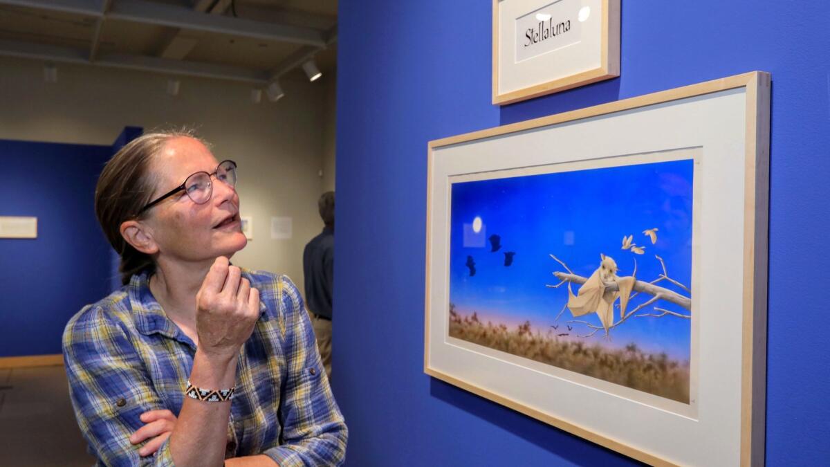 Janell Cannon visits the exhibit of her "Stellaluna" artwork opening July 1 at the Cannon Art Gallery in Carlsbad.