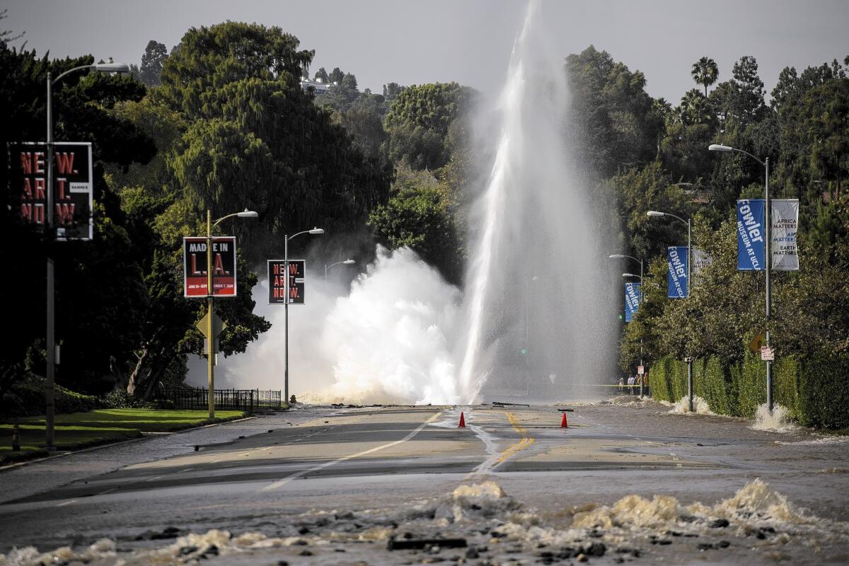 A 100-foot-high geyser caused by a broken 30-inch water main under Sunset Boulevard floods the street and the nearby UCLA campus.