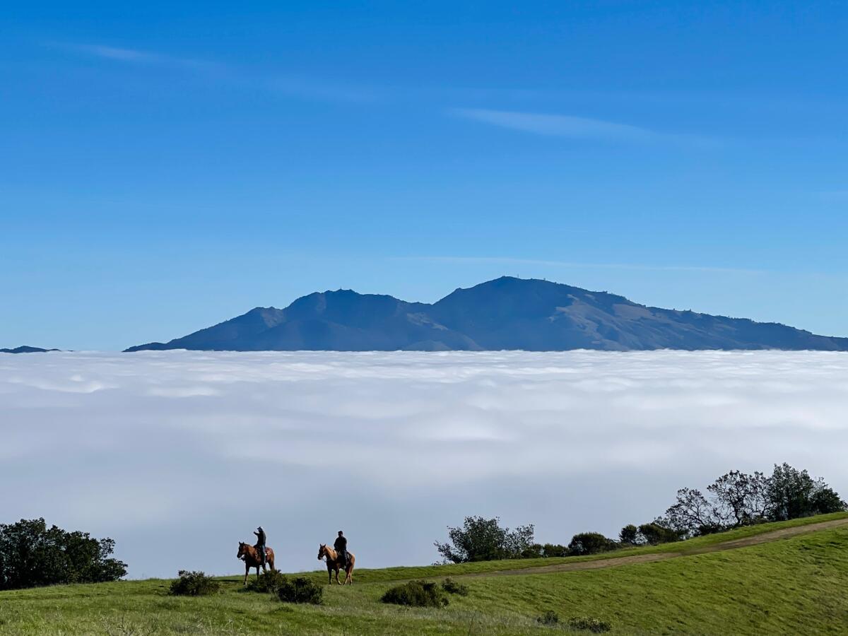 A mountain peak is shown above a thick layer of fog with people on horses, foreground.