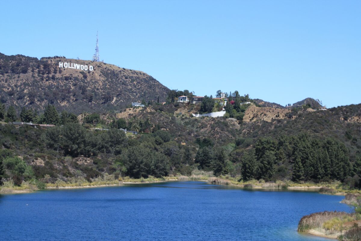 The Hollywood sign above the water of the Hollywood Reservoir.