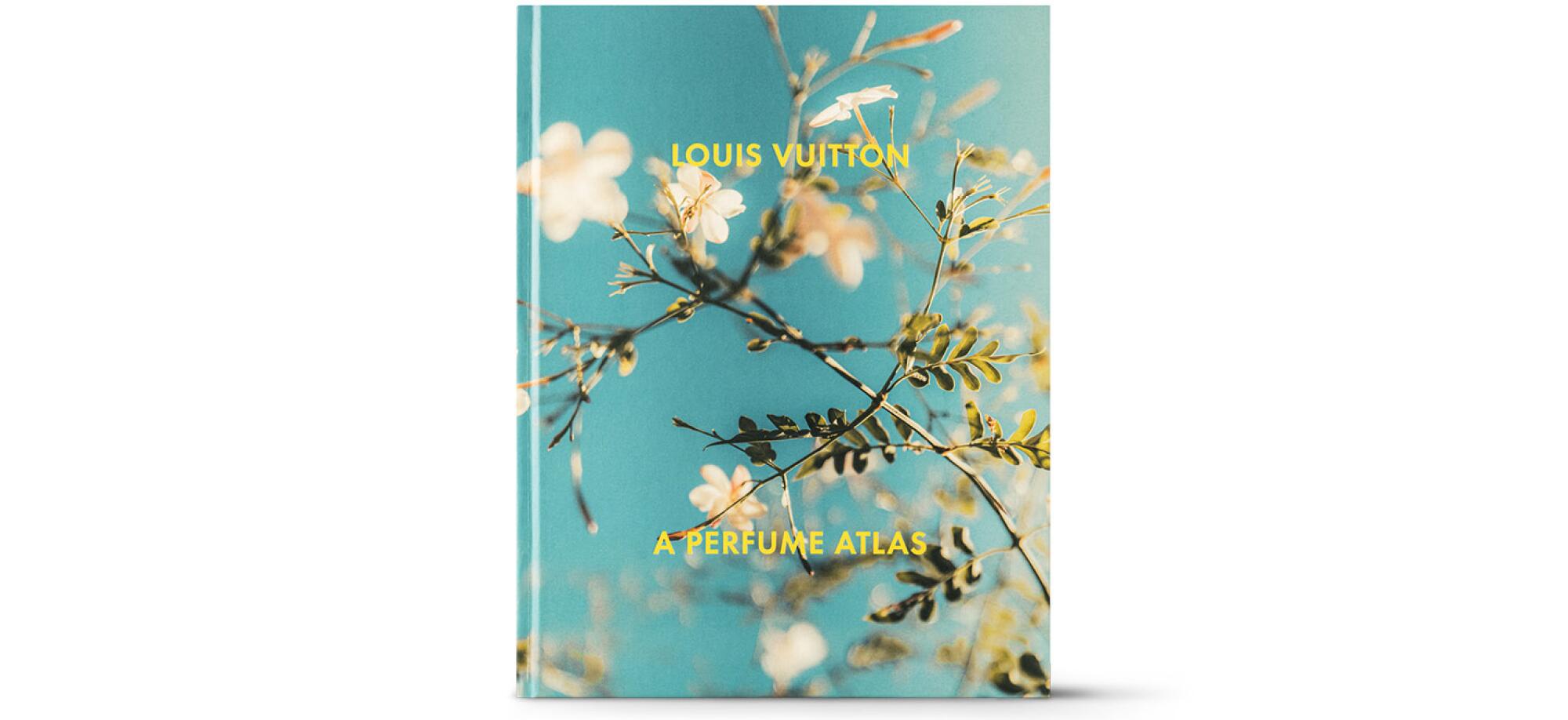 The cover of a Louis Vuitton book.