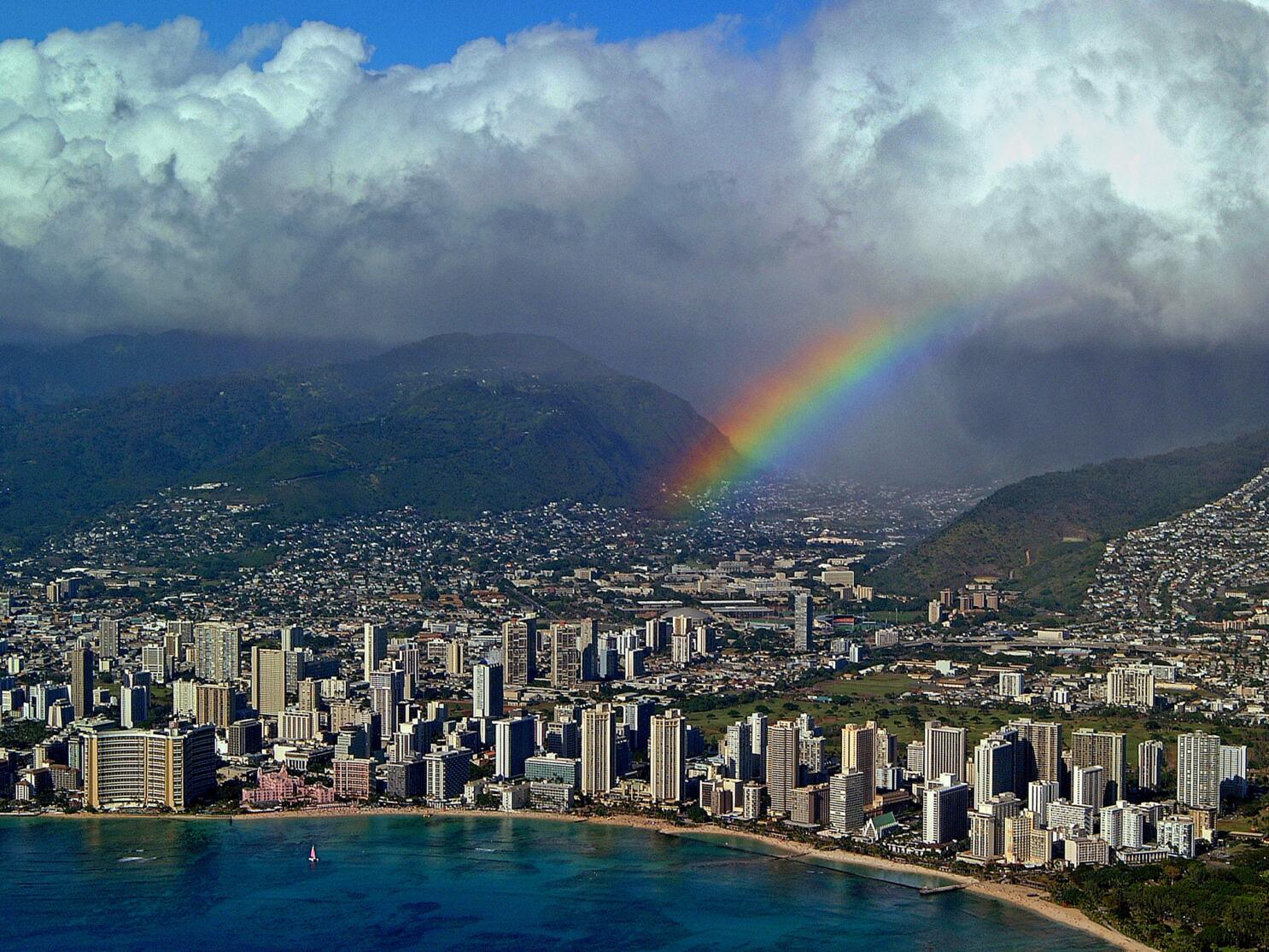 LIVING ALOHA CREATIONS - 47 Photos & 12 Reviews - Honolulu, Hawaii