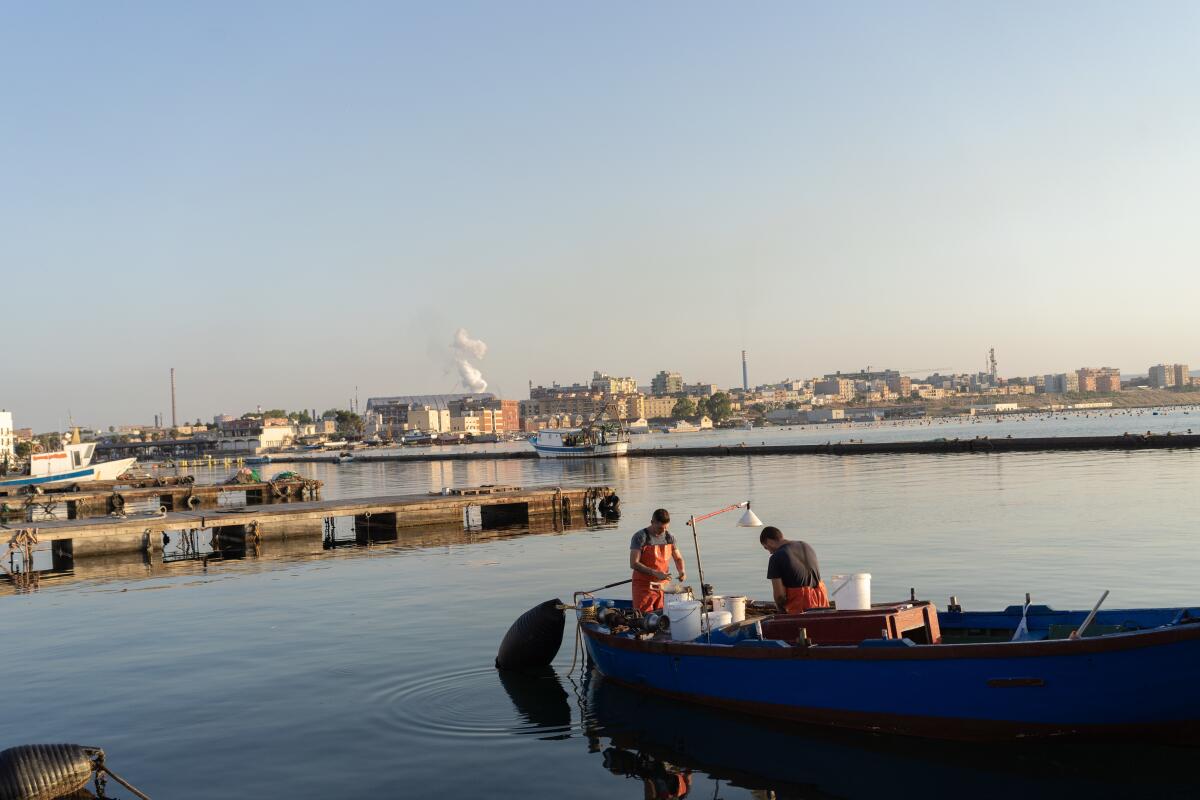 Two fishermen clean their catch in old Taranto's harbor. On the horizon is a column of vapors from ArcelorMittal’s steel plant.