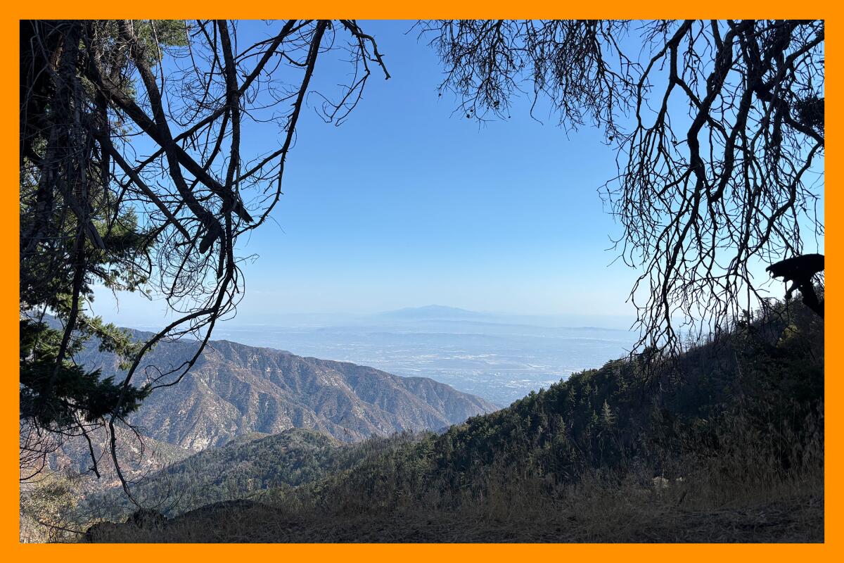 A vignette of naked branches leads to a view of a mountainous valley.