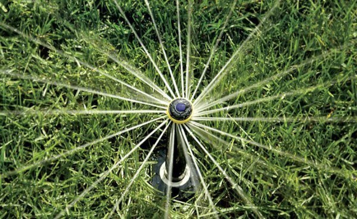 A rotary irrigation nozzle made by Rain Bird.