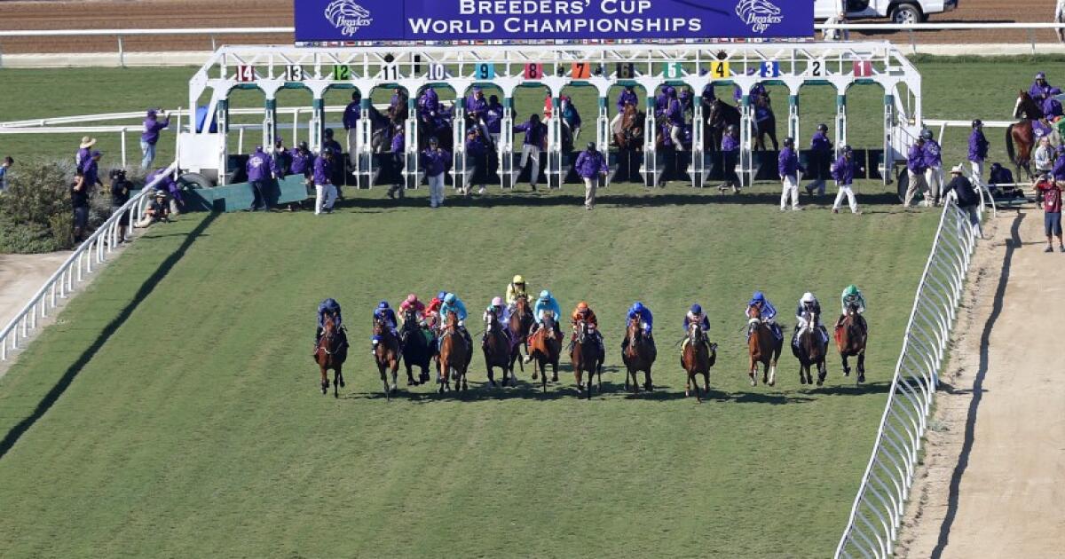 Del Mar gets 2025 Breeders' Cup to be held Oct. 31 to Nov. 1 Los