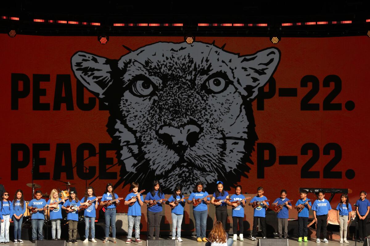 Kids with ukuleles stand in front of a mural of P-22.