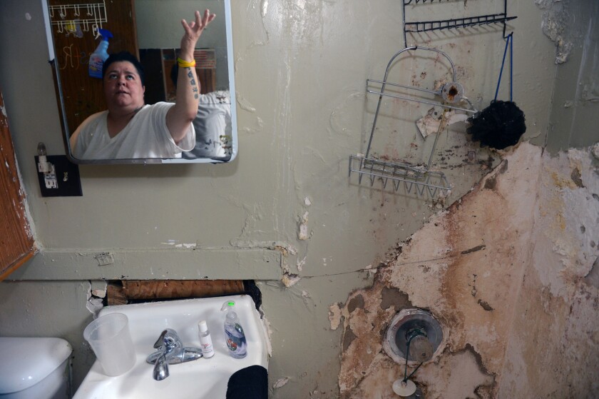 Jennifer de Jesus points to what she must endure as she stands in her bathroom last month at the Patterson Houses in the Bronx.