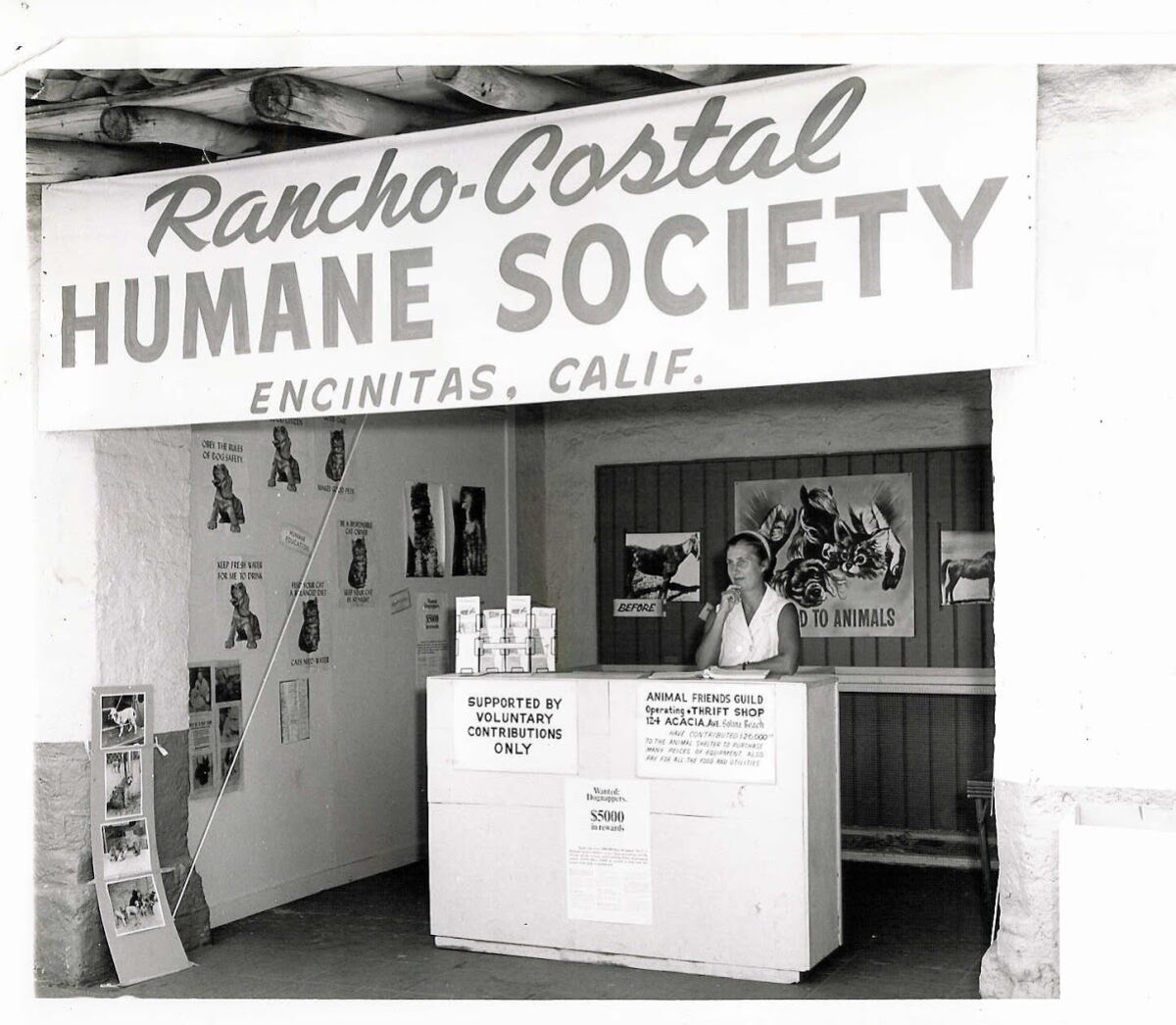 Groundbreaking for animal hospital and expansion at Rancho Coastal Humane Society - The San Diego Union-Tribune Groundbreaking for animal hospital and expansion at Rancho Coastal Humane Society - The San Diego Union-Tribune