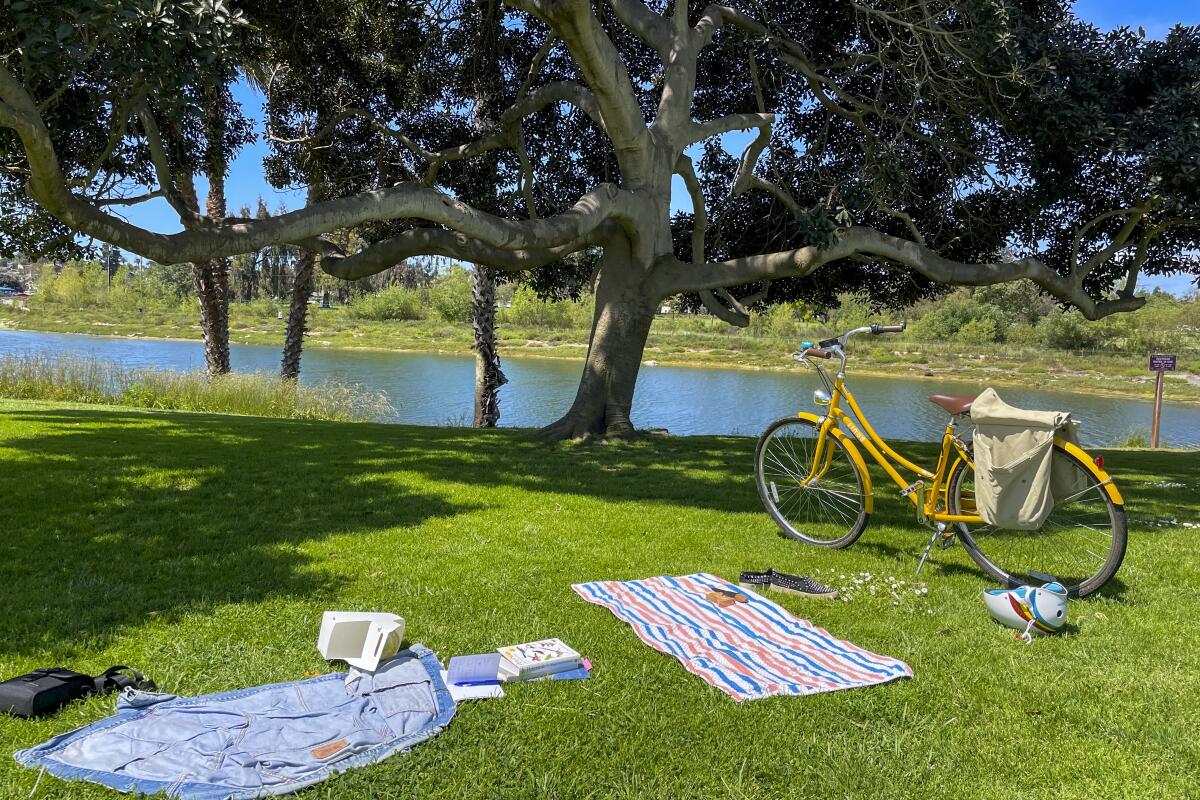 A yellow bike stands parked near picnic blankets on a lawn near Colorado Lagoon.