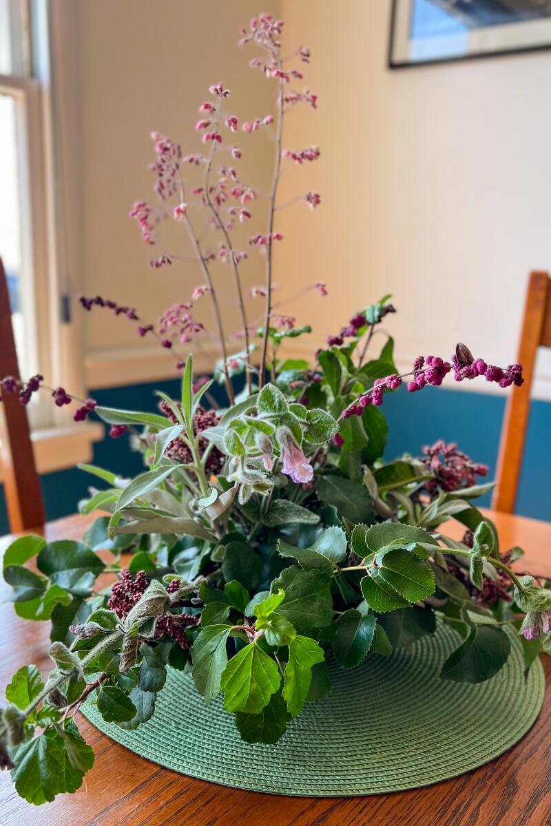 Petty's native plant arrangement, still looking fresh a week later.