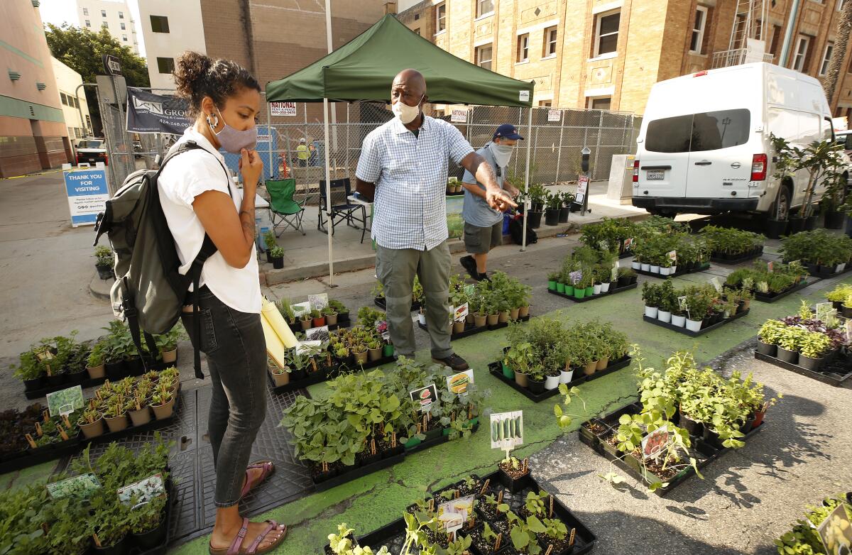 Nursery owner Jimmy Williams helps shopper Zarah Cahn decide on vegetable plants at the Santa Monica Farmers Market. 