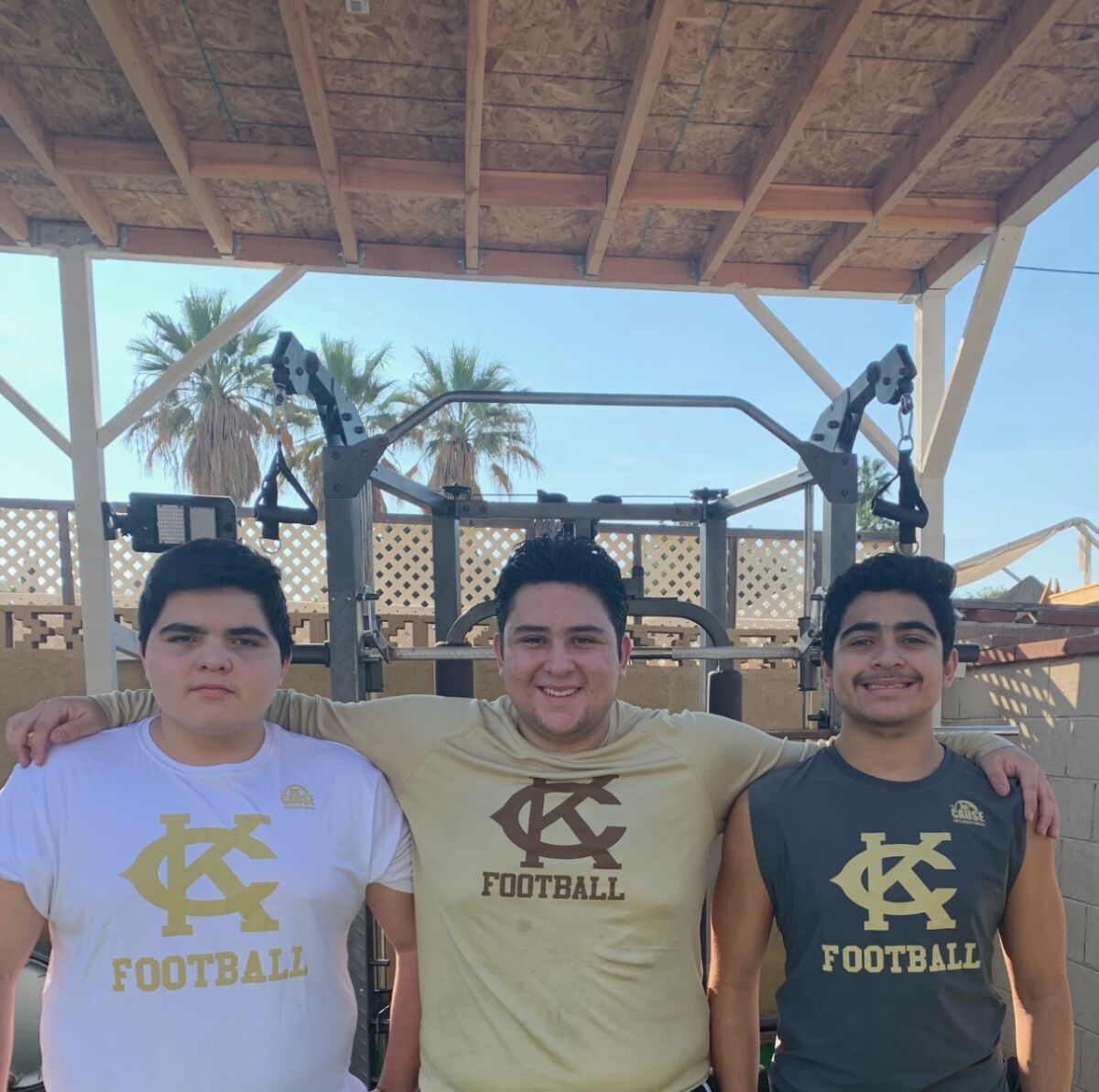 The Argott brothers, from left, freshman Jesse, senior Frankie and sophomore Gabriel, work out in their backyard.