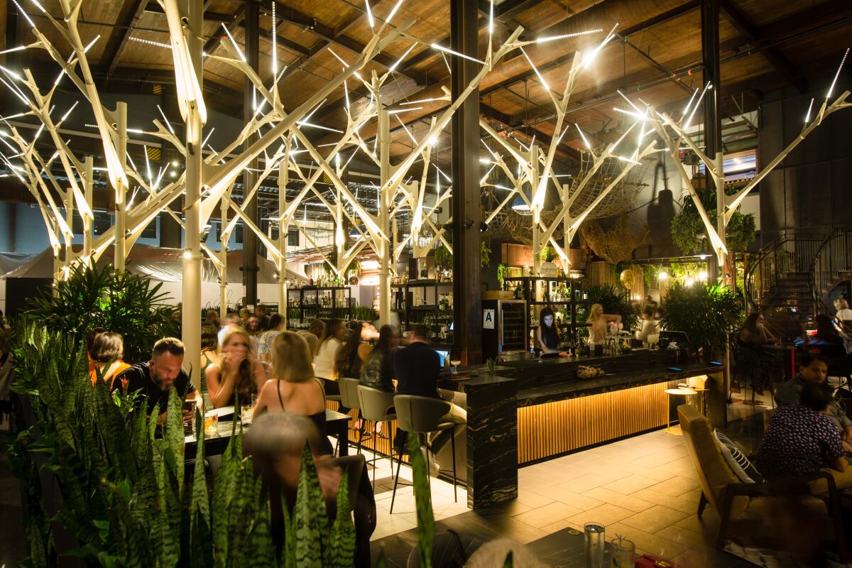 The Understory bar at Sky Deck.