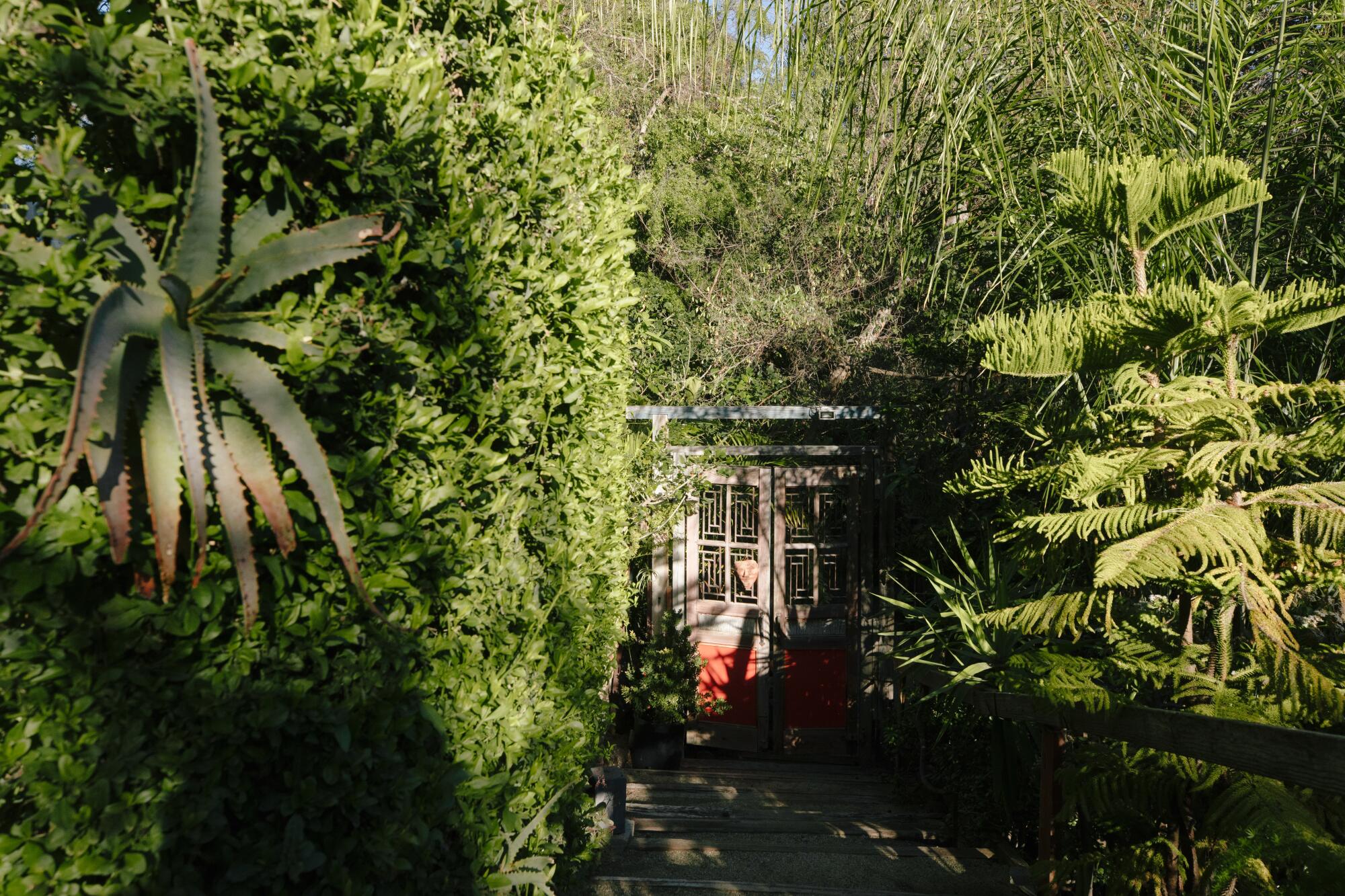 A walkway leads to a gate at the house Rosenthal built.