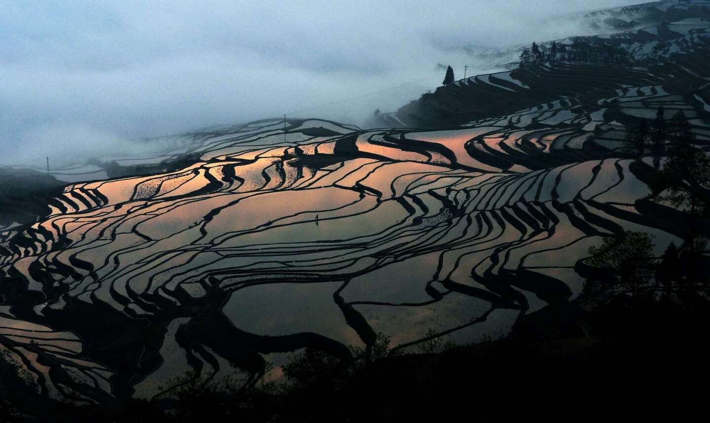 Hani rice terraces