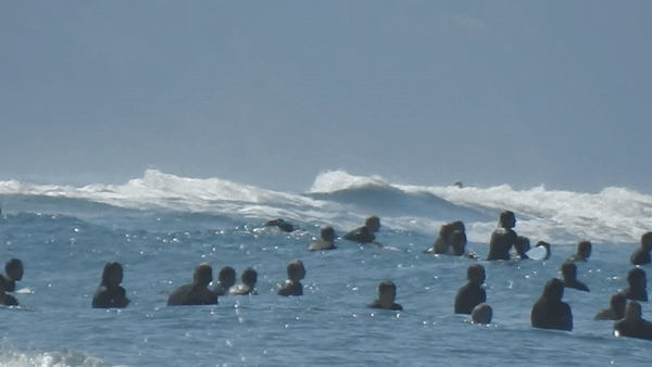 Surfers thronged into the sea on March 28th at Cardiff-by-the-Sea in San Diego County.