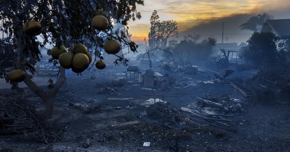 2 weeks after they inherited a home, the Mountain fire happened 2 weeks after they inherited a home, the Mountain fire happened