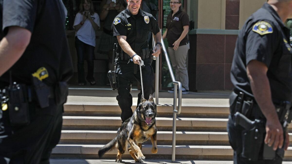 Death of Recently Retired K-9 Bruno, of Sonoma County Sheriff's Office., Law Enforcement Talk Radio Show and Podcast