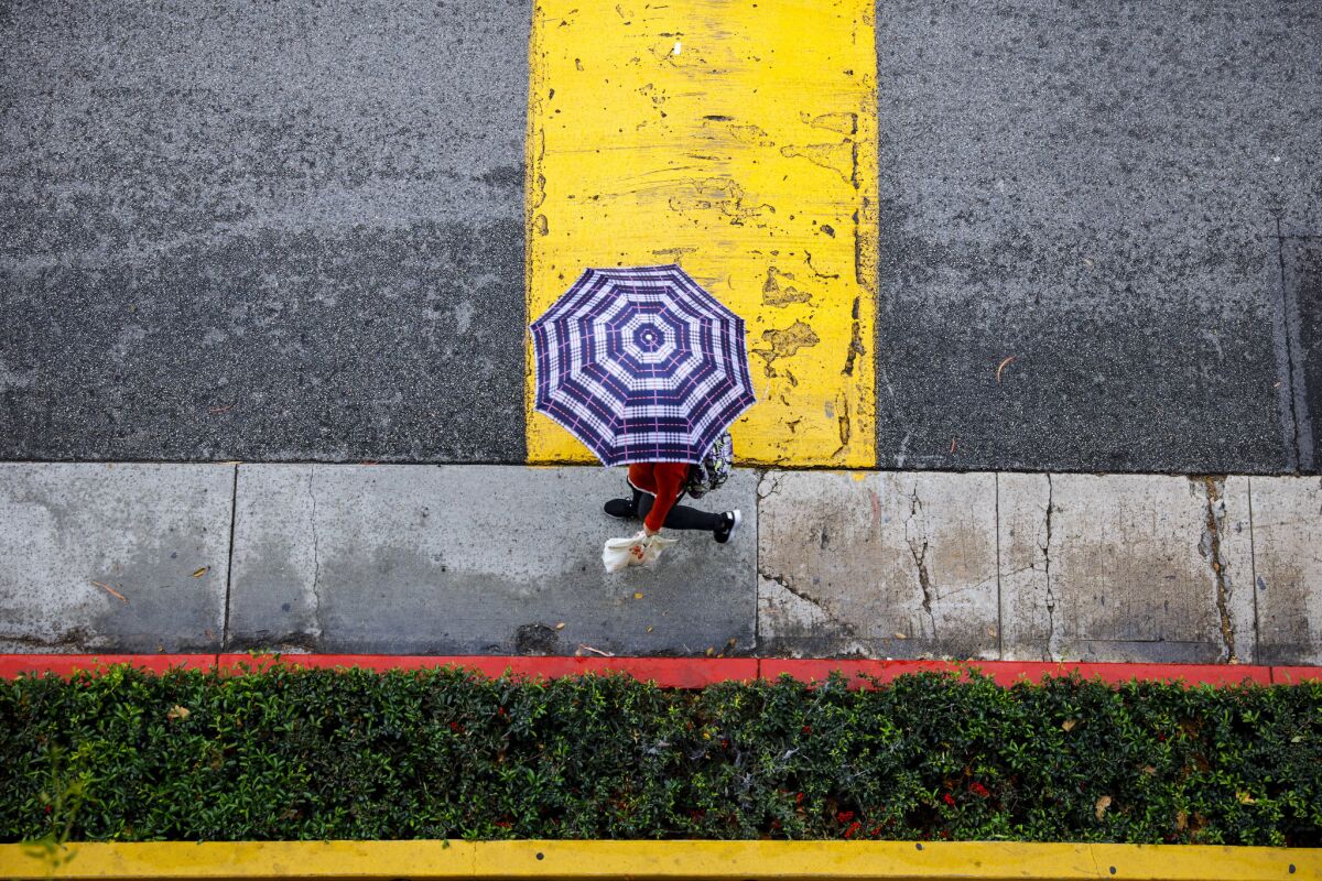 Umbrellas are out on the USC campus as a rain storm descends on Los Angeles on March 11.