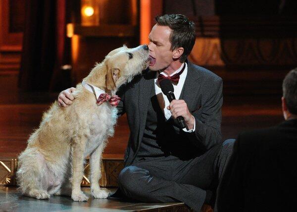 Neil Patrick Harris shared an intimate moment with a cute pup during the 67th Tony Awards last Sunday. The saliva-filled kiss with the dog that starred as Sandy in "Annie" on Broadway, along with a seamless hosting performance, earned the Tonys its biggest audience since 2009. Other Tonys night notables: Cyndi Lauper became the first solo woman to win a Tony for score, while Tom Hanks was snubbed for lead actor in a play.