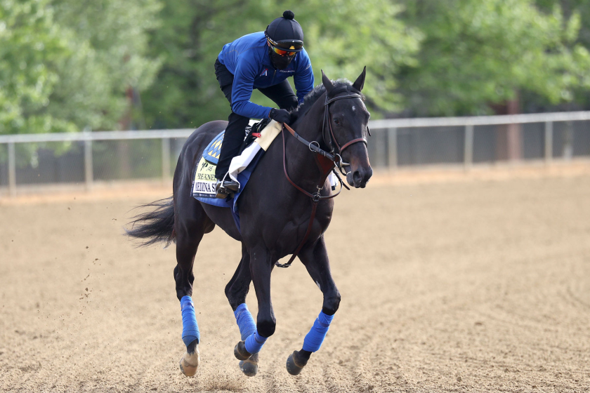 Exercise rider Humberto Gomez takes Kentucky Derby winner and Preakness entrant Medina Spirit over the track.