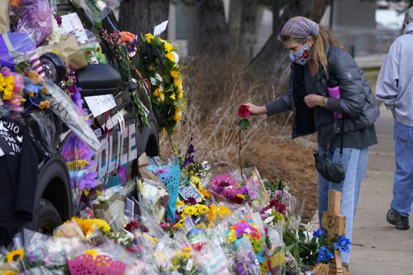 A mourner places a rose amid bouquets in tribute around a police cruiser for Boulder, Colo., police officer Eric Talley, who was one of 10 victims in Monday's mass shooting at a King Soopers grocery store, Wednesday, March 24, 2021, in Boulder, Colo. (AP Photo/David Zalubowski)