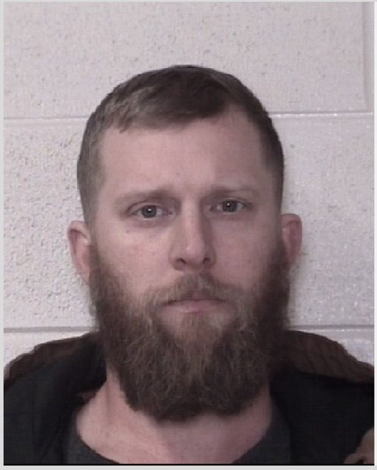 The mug shot of a bearded man with short brown hair
