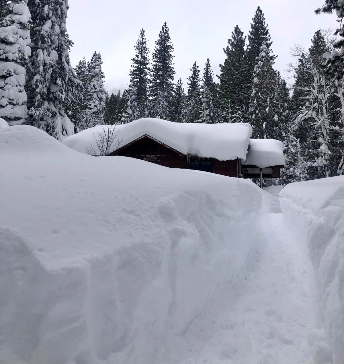 A cabin is barely visible behind snow