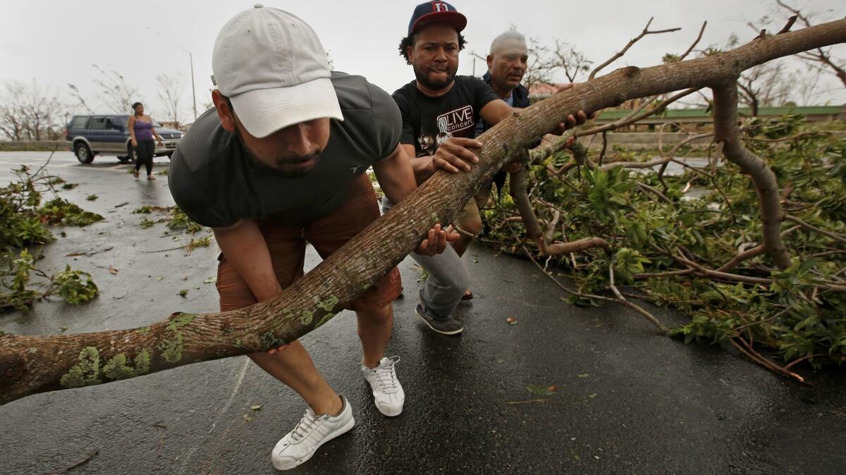 Roberto Flores, left, helps move large tree limbs from a major road in San Juan after Hurricane Maria tore through the Puerto Rican capital. (Carolyn Cole / Los Angeles Times)