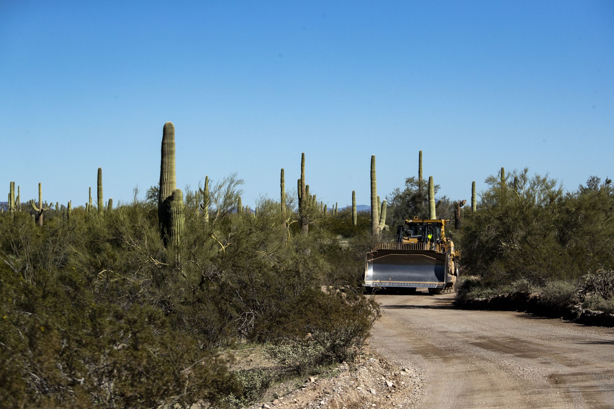 A bulldozer heads along Puerto Blanco Drive toward Monument Hill, where construction crews are making way for new border wall in Organ Pipe Cactus National Monument in Arizona.