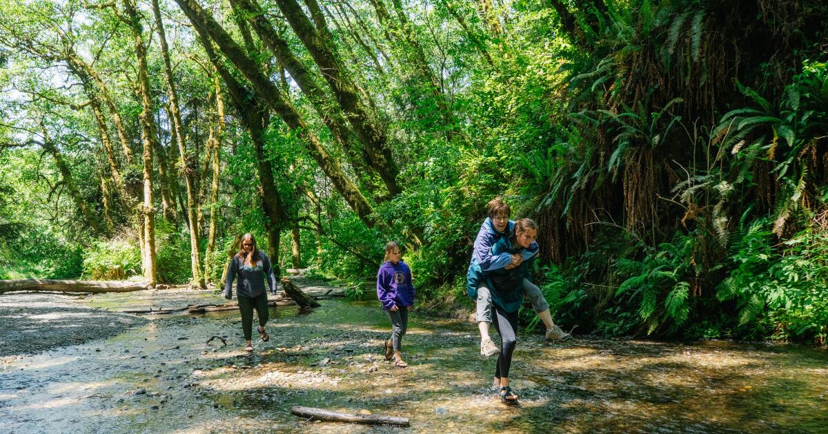 Os 10 acampamentos estaduais mais populares da Califórnia Os 10 acampamentos estaduais mais populares da Califórnia