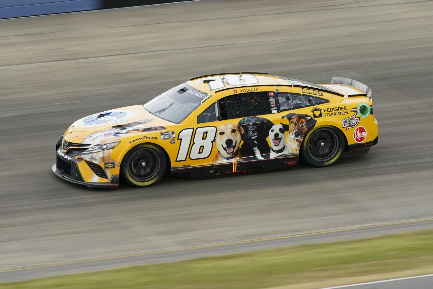 nascar 2022 paint schemes kyle busch