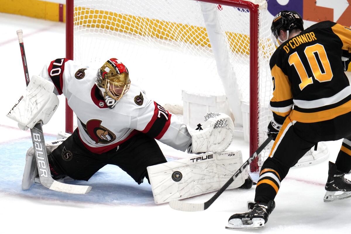 Ottawa Senators Confirm Injury News on Goaltender