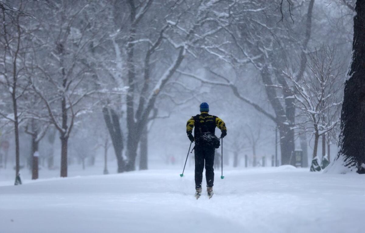 A man skis through Lincoln Park in Chicago.