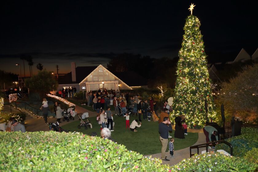Holiday tree lighting at the corner of 15th Street and Camino Del Mar