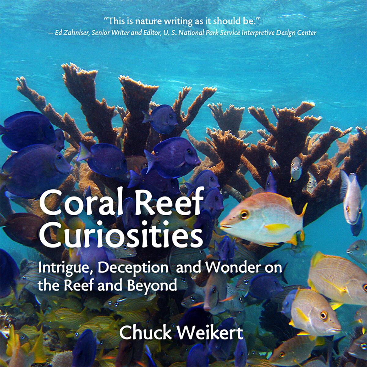 Coral Reef Curiosities book cover