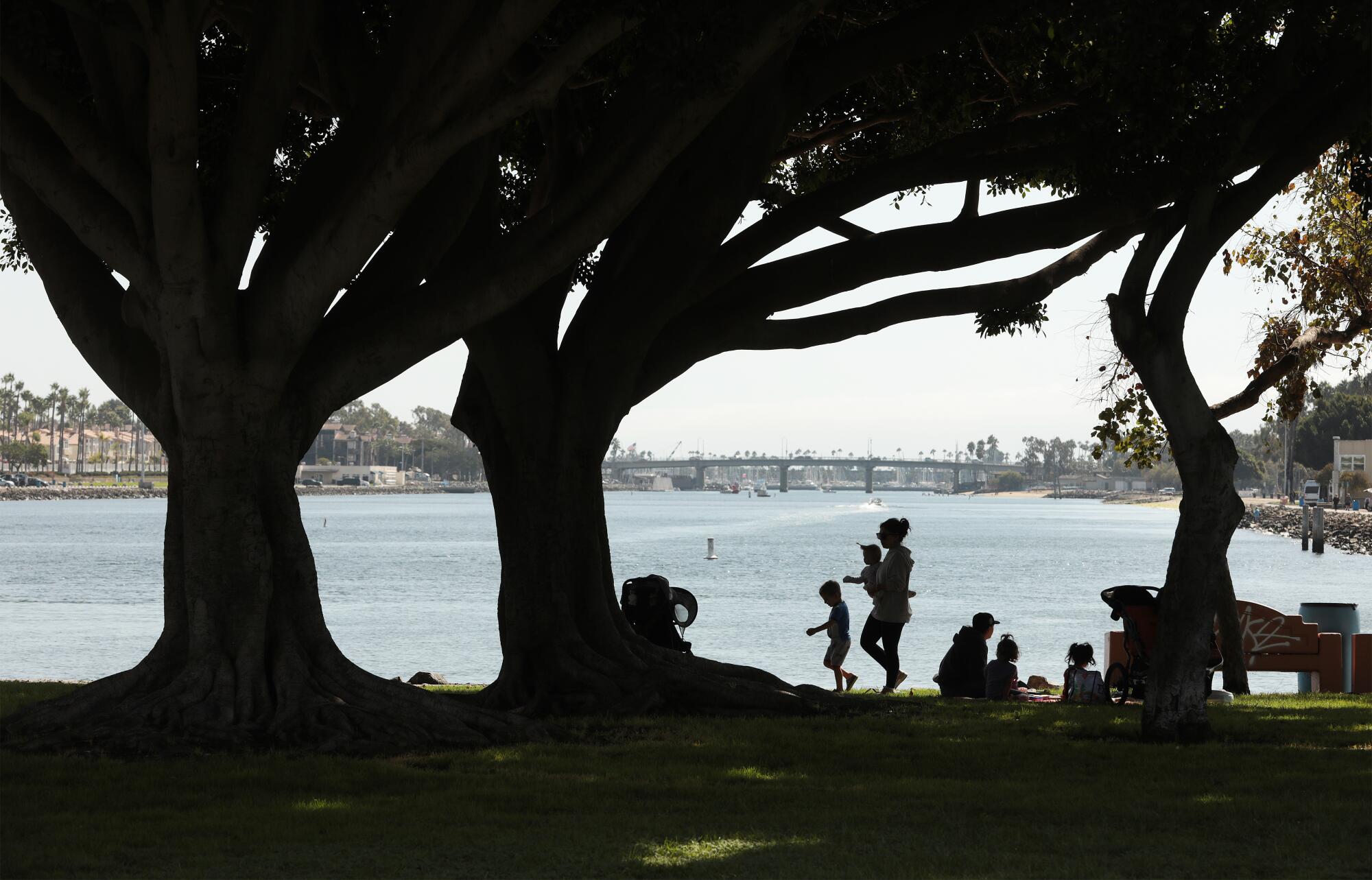 The Marine Stadium will host two 2028 Summer Olympics events: canoe sprint and rowing.