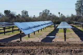 Hileras de paneles solares en el Eleven Mile Solar Center de Orsted, el jueves 29 de febrero de 2024, en Coolidge, Arizona. (AP Foto/Ross D. Franklin)