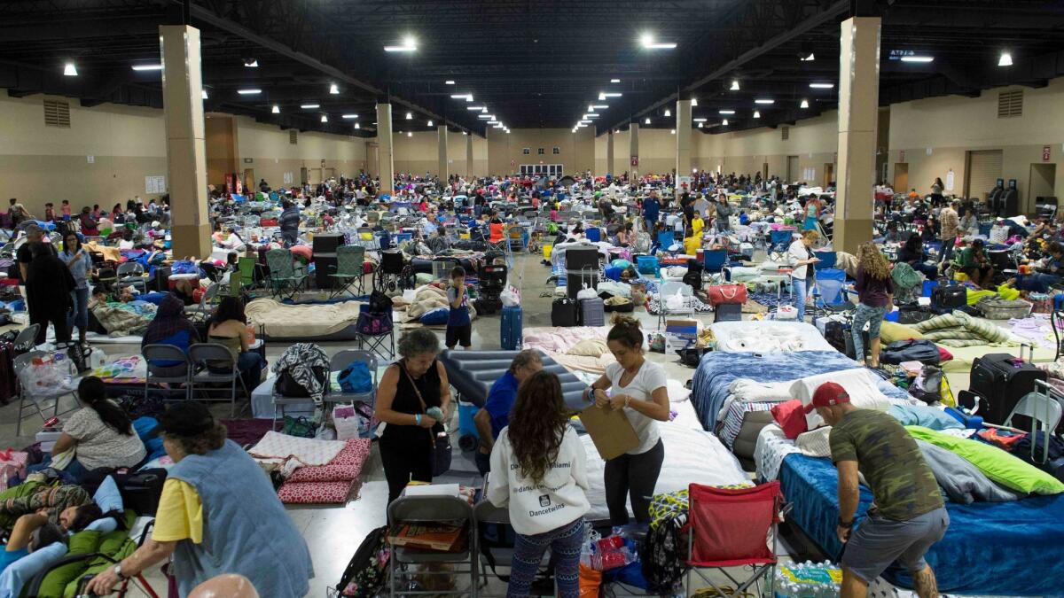 Hundreds of people gather Sept. 8 in an emergency shelter at the Miami-Dade County Fair Expo Center ahead of Hurricane Irma. (Saul Loeb / AFP/Getty Images)