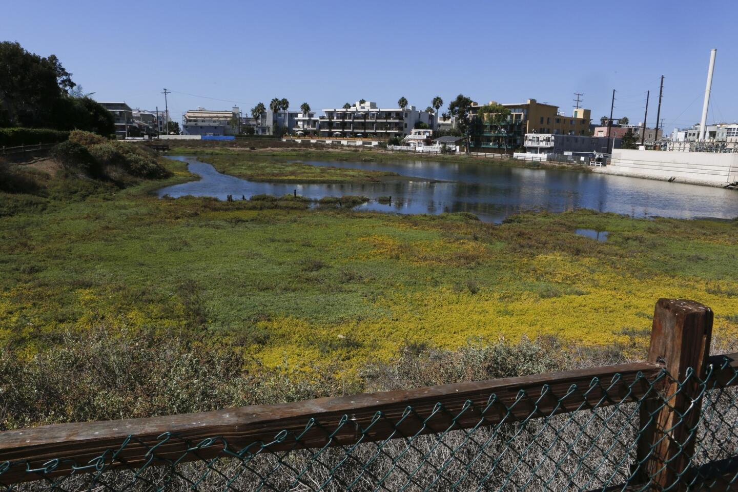 L.A. Walks: Ballona Lagoon