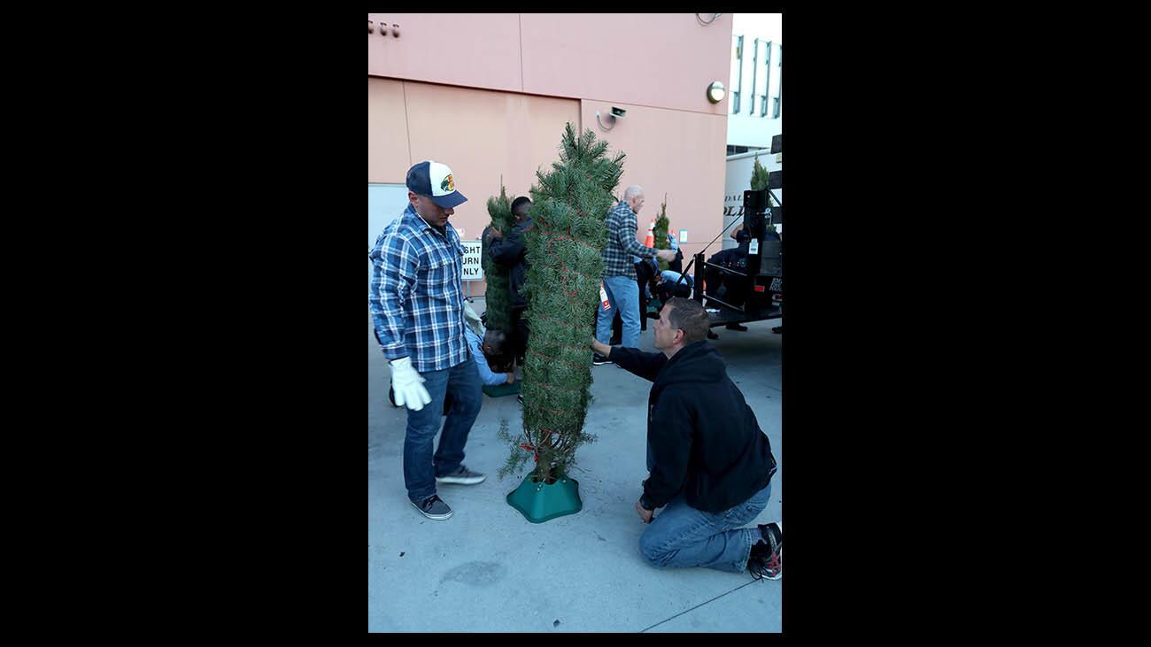 Photo Gallery: Glendale Police delivers Christmas trees to needy families