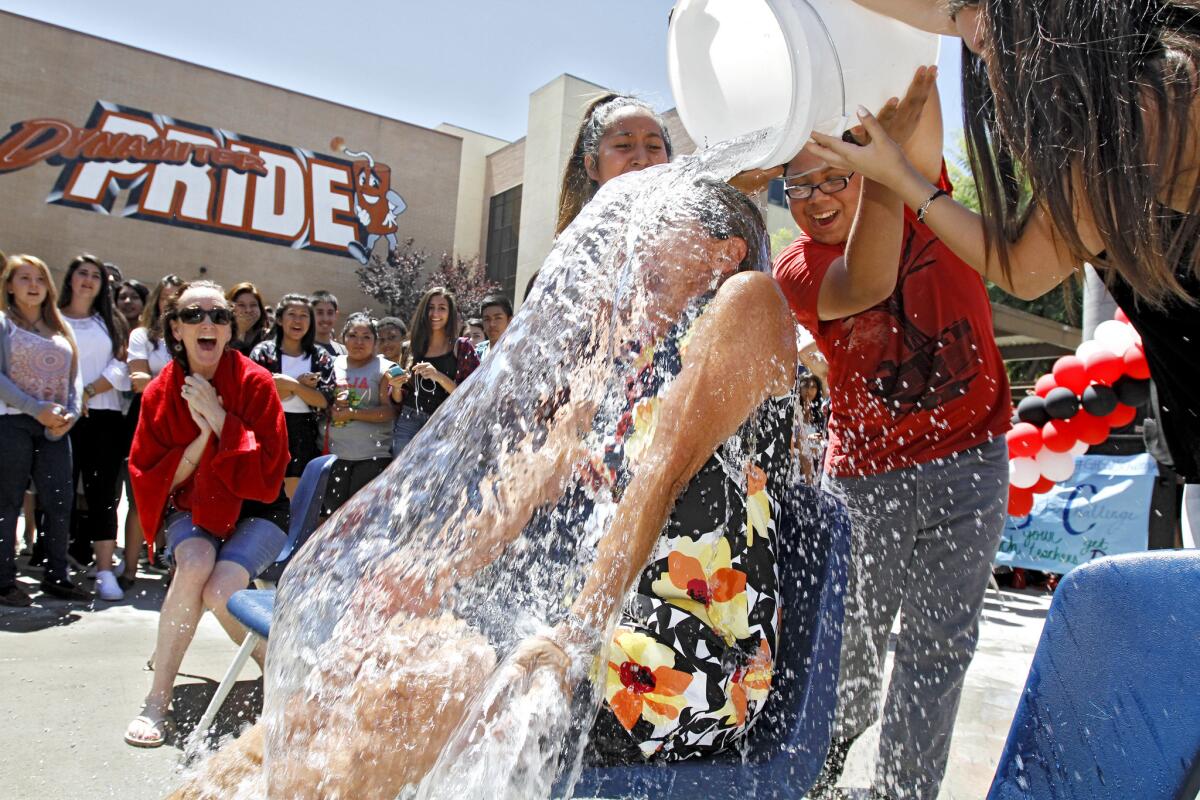 Glendale High School AP science teacher Nabila Jahshan gets a bucket of ice water during the ASB-hosted Ice Bucket Challenge at the Glendale school on Friday, Aug. 15, 2014. The challege raises funds for the ALS Foundation.