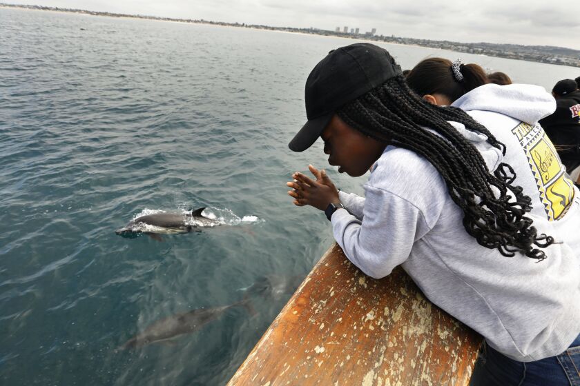 Newport Beach, California-June 8, 2023-Moyinoluwa Jaiyeola, age 13, watches common dolphins on a student science trip off of Newport Beach. On World Ocean Day students from Tuffree Middle School participate in a marine protected area science cruise to collect plankton, sample water and even look at fish in the kelp forest through our GoPro camera. on-the-water cruise in Newport Beach. The students do hands on marine science data off of the coast of Crystal Cove State Park in partnership with Crystal Cove Conservancy in conjunction with Newport Landing Sport Fishing. (Carolyn Cole / Los Angeles Times)