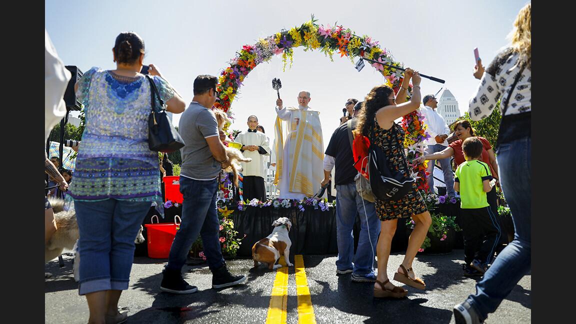 Archbishop José H. Gomez conducts the annual Blessing of the Animals on Saturday in downtown Los Angeles.