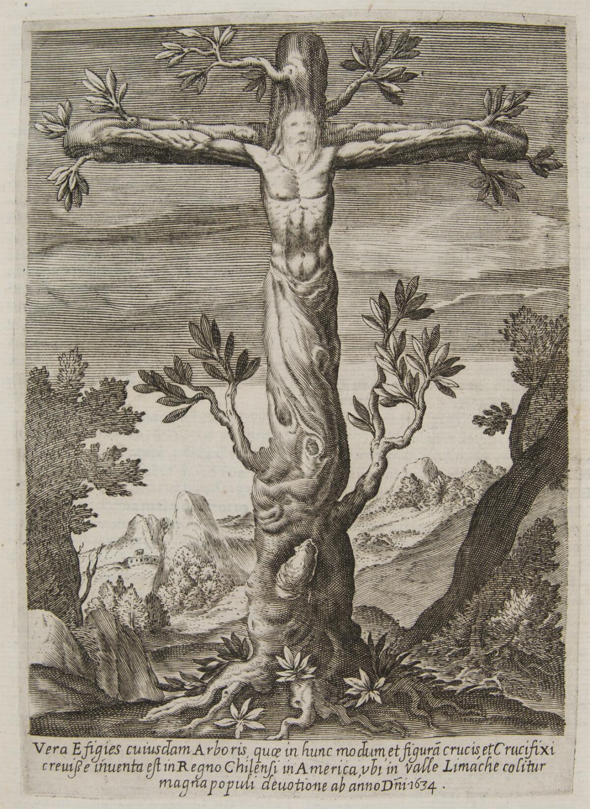 A tree in the shape of a crucifix features an image of Christ, as depicted by Alonso de Ovalle in "An Historical Relation of the Kingdom of Chile," 1646.