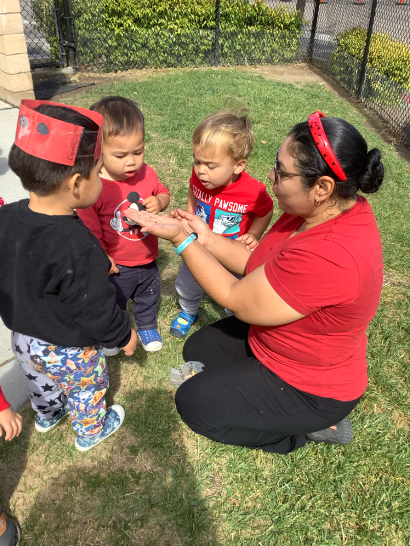 Students at Discovery Isle Preschool celebrated Earth Day recently by releasing more than 12,000 ladybugs.