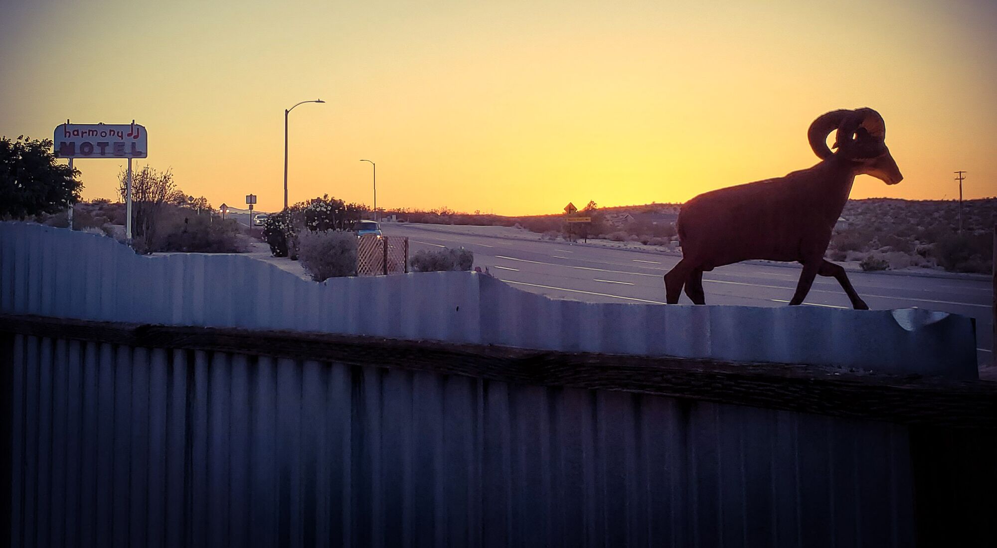 A mountain goat statue appears to be walking along the top of a fence at sunset