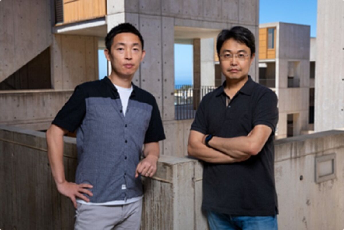 Sukjae Joshua Kang (left) and Sung Han are among the authors of a Salk Institute study on the brain's "central alarm system.”